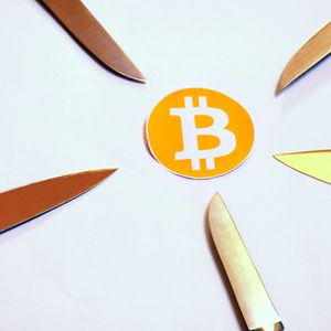 'Attack on Bitcoin’ Claims Circulate as Transaction Fees Climb Higher