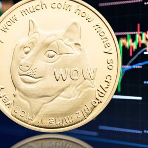 Is Elon Musk's Pick for New Twitter CEO a Dogecoin Maxi Too?