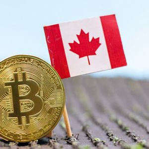 Canadian Lawmakers Want to Help Blockchain Businesses 'Flourish'