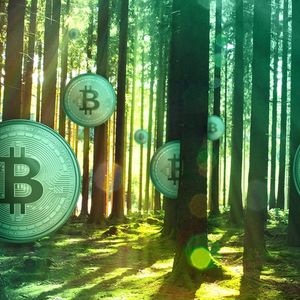 'Unsubstantiated': Expert Refutes Greenpeace Bitcoin Mining Pollution Claims