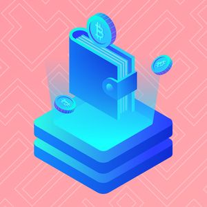 What are cryptocurrency wallets?