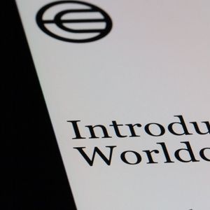 France and Germany Coordinating on Worldcoin Investigation