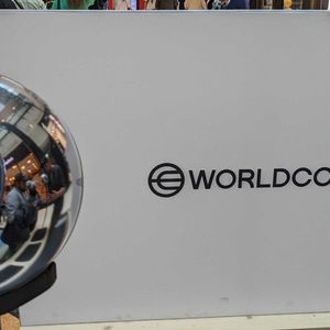 Germany's Far-Right AfD: Worldcoin Orbs 'Solely for the Global Surveillance of People'