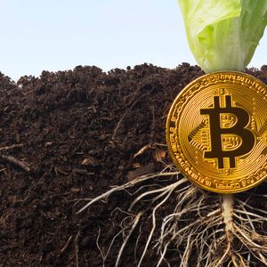KPMG Bitcoin Report Marks 'A Milestone The Bitcoin Ecosystem Should Celebrate': Analyst