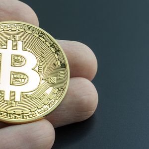 Long-Term Bitcoin Holder Metric Hits New All-Time High