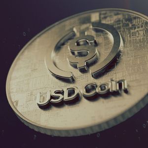 Circle CEO Says Just 30% of USDC Adoption Occurs in US