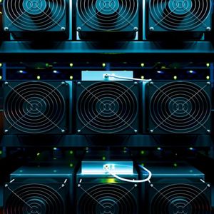 Bitcoin Miner Hut 8 Shares Plummet 8% After Disappointing Q2 Revenue Figures