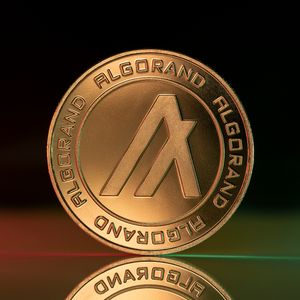 Algorand Hits New All-Time Low Amid Market Downturn