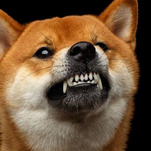 Dogecoin ‘Community Has Become Hyper Reactionary’ Over Proof-of-Stake Switch, Says Core Dev