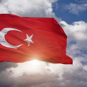 Half of the People in Turkey Now Own Crypto: Report