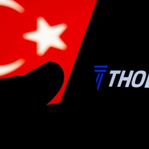 Thodex CEO Gets 11,000-Year Jail Sentence Over $2B Crypto Exchange Collapse