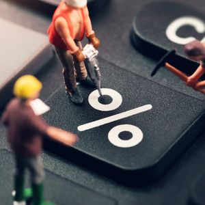 Rising Rates Gives New Life to Interest-Bearing Stablecoins