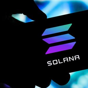 Solana Launches Bug Bounty Amid Rumors That Sam Bankman-Fried Had a Kill Switch