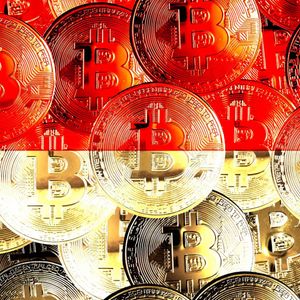 Hacker Denis Katana Helped Russian Crime Boss Launder Money With Bitcoin, Says Spanish Judge