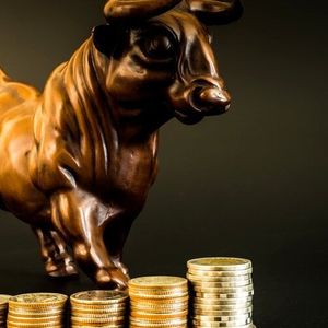 The Biggest Winners of This Week's Crypto Rally? MINA, Chainlink, and PEPE