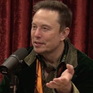 Elon Musk Blasts NFTs—And Bitcoin Fans Love It