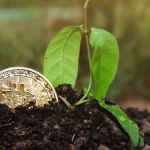 This Week on Crypto Twitter: Springtime for Degens?