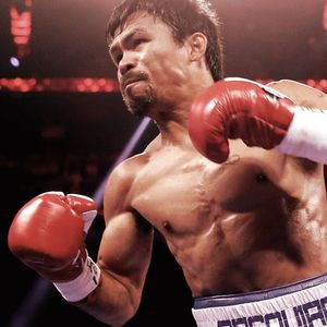 Manny Pacquiao Turns to Shiba Inu to Help His Foundation