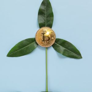 Bitcoin Mining Could 'Mitigate' Climate Change: Cornell Study