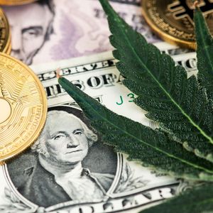 Flying High: Why Bitcoin Fans Are Buzzing About Hitting $42,069