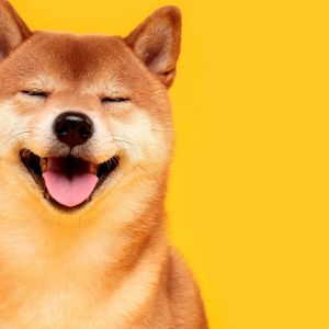 Shiba Inu Team Seeks to Launch SHIB Domains for Websites and Email