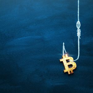 Degens Are Already Trading 'Bitcoin ETF' Meme Coins—On Solana