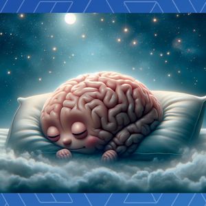 Power Naps Can Keep Your Brain from Shrinking: Study