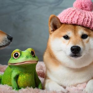 BONK, PEPE and Dogwifhat Leading Meme Coin Rally