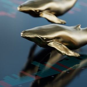 ‘Fifth Richest’ Bitcoin Whale Just Moved $6 Billion in BTC