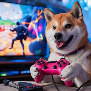 This Fortnite-Like Ethereum Game Is Adding a Doge World