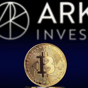Ark Invest Bitcoin ETF Sees Second Day of Outflows