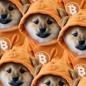 Bitcoin Meme Coin DOG Hits $336 Million Market Cap After Runes Airdrop