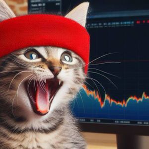Lucky Timing? 'Roaring Kitty' Solana Meme Coin Skyrockets After GameStop Trader's Return
