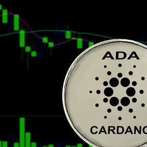 Cardano Drops Out of Top 10 by Market Cap Again as Toncoin Rises
