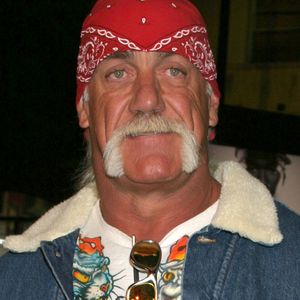 Did Hulk Hogan Really Pump and Dump a Solana Meme Coin?