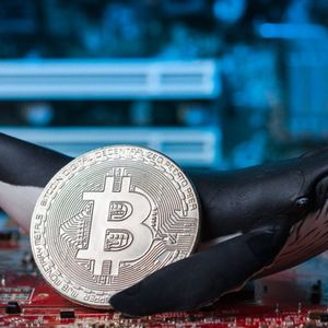 This Sleepy Bitcoin Whale Was Sitting on $61 Million—Now It's on the Move