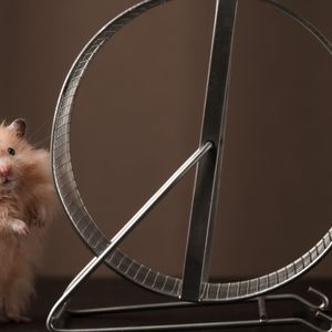 ‘Hamster Kombat’ Keeps Demanding More Friends—Enough Already