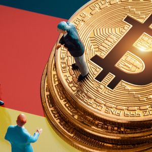 Germany's Bitcoin Balance Grows as Users Send BTC With Secret Messages