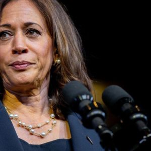 Kamala Harris Campaign Showing 'Concerted Effort' to Understand Crypto: Circle CEO