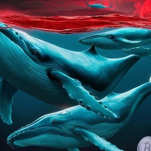 Bitcoin Whale Holding Satoshi-Era Stash Moves More Coins to Kraken