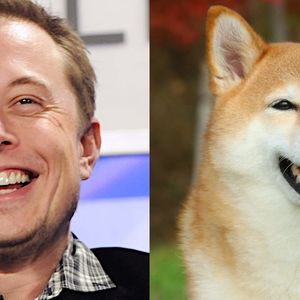 Dogecoin Price Flies While Bitcoin Falls as Elon Musk Continues Trump Push