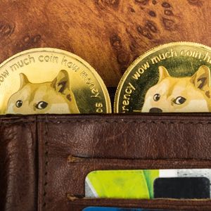 Dogecoin ETFs Aren’t as Crazy as They Sound, Analysts Say