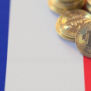 France Wants Bitcoin HODLers to Pay Taxes on 'Unproductive Wealth'