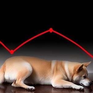 Dogecoin Down 19% Since Hitting 3-Year High—Despite Bitcoin Rebound