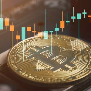 Bitcoin Price Nears All-Time High Above $103K as Dogecoin and XRP Rise