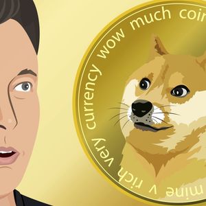 Dogecoin Dumps as Elon Musk's DOGE Agency Website Removes Meme Imagery