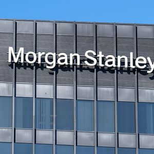 Banking Giant Morgan Stanley Open to Offering Crypto Services in 'Safe Way': CEO