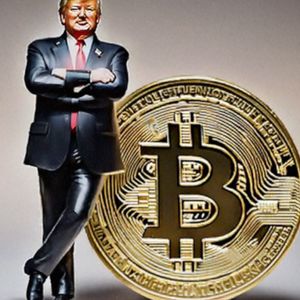 This Week in Bitcoin: New High Price, Multi-Million Dollar Projections, and Trump Frees Ross Ulbricht