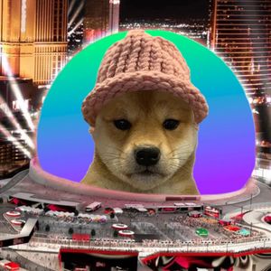 Solana Meme Coin Dogwifhat Has No Deal With Las Vegas Sphere, Venue Says