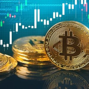 Professor Coin: Do Managed Crypto Funds Outperform the Market?